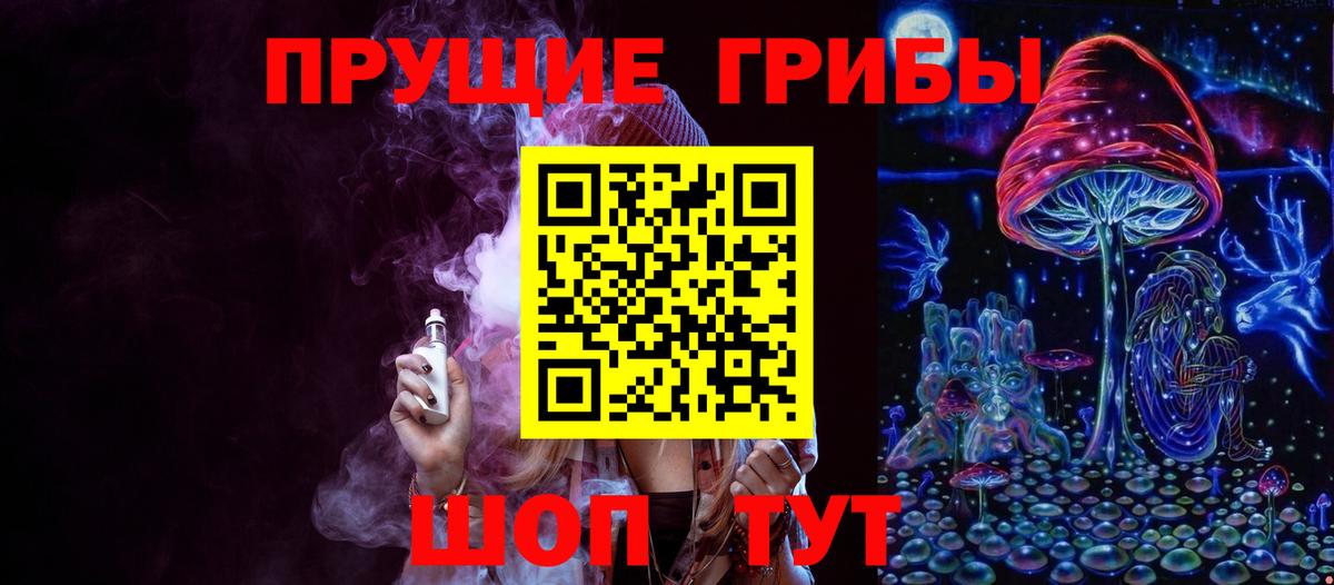 Артёмовский  Псилоцибиновые грибы Psilocybine cubensis  Вход с VPN  Псилоцибиновые грибы Cubensis 