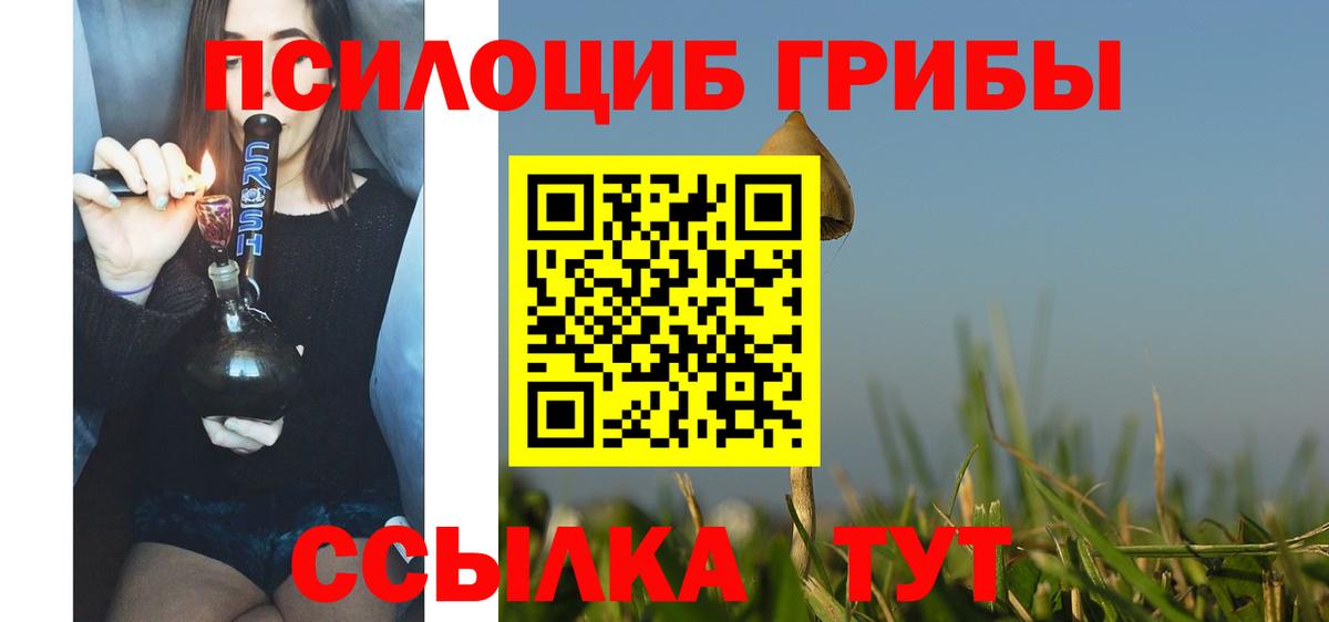 Псилоцибиновые грибы Psilocybe Артёмовский